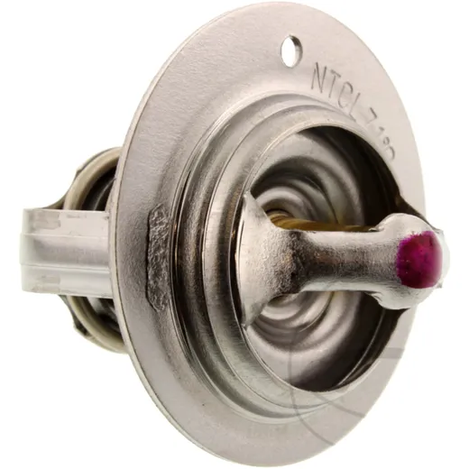 Thermostat (orig spare part) 1XD1241100
