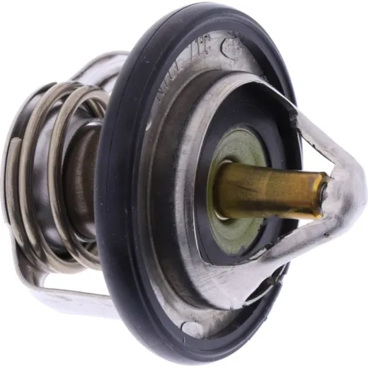 Thermostat (orig spare part) 23P1241000