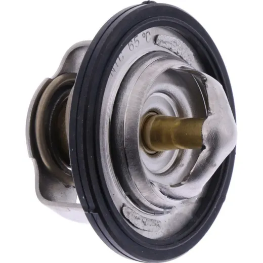 Thermostat (orig spare part) 2YK1241100