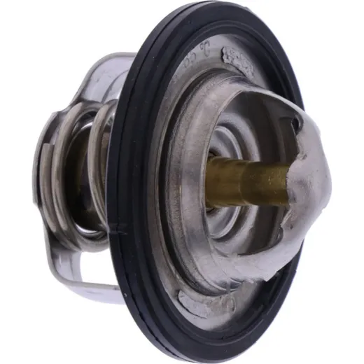 Thermostat (orig spare part) 47X1241100