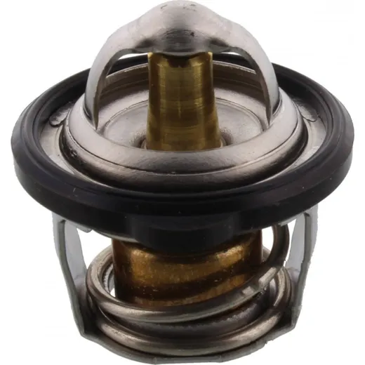 Thermostat (orig spare part) 4D91241100