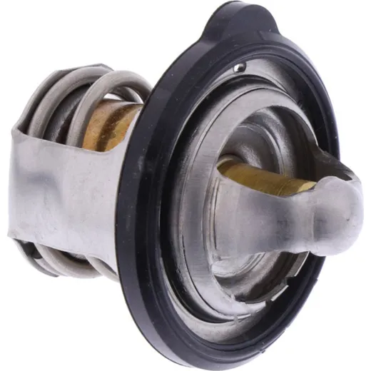 Thermostat (orig spare part) 5P01241100