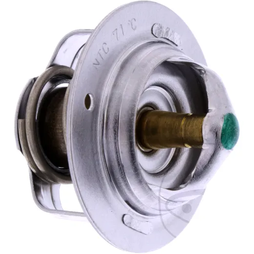 Thermostat (orig spare part) 5VK1241000