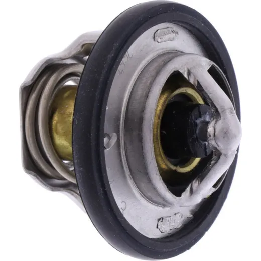 Thermostat (orig spare part) 1767006G70000