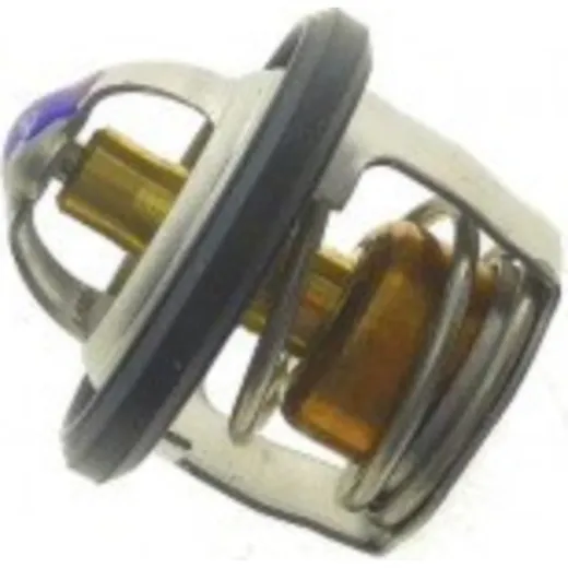 Thermostat (orig spare part) 1767008D20000