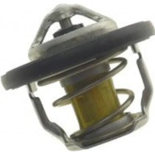 Thermostat Originalersatzteil 1767047H00000