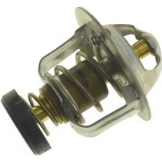 Thermostat (orig spare part) 19300MBW003