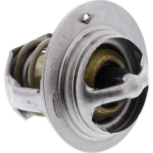 Thermostat Tourmax TMT110