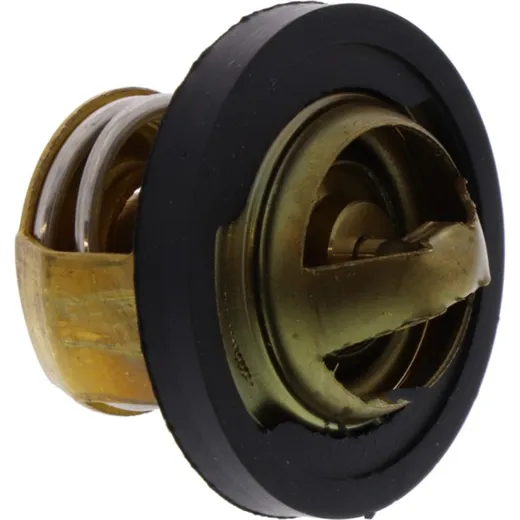 Thermostat (orig spare part) 969427