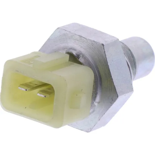 Thermostat (orig spare part) 1054061