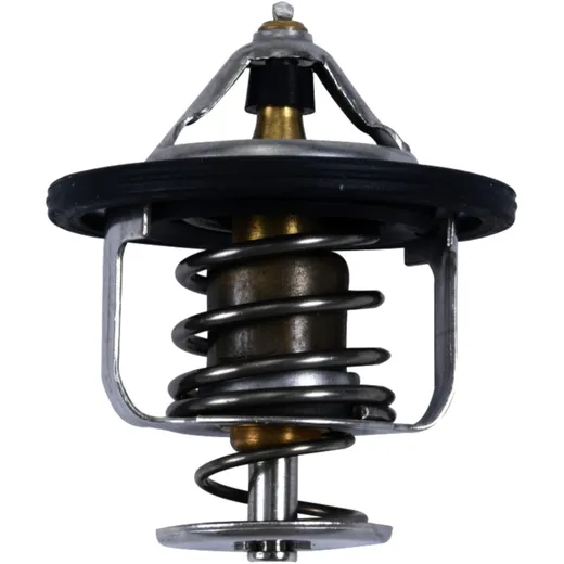 Thermostat ALL BALLS racing for: Polaris General