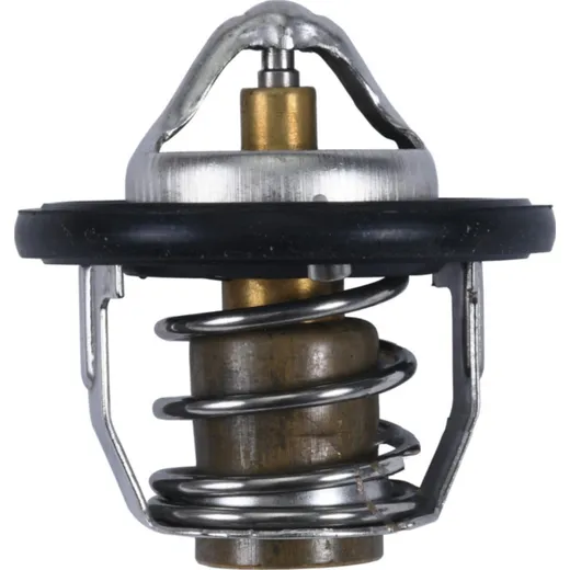 Thermostat all balls racing 163005