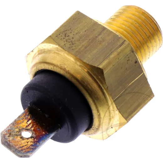 Thermostat (OE spare part) for: Beta Ark