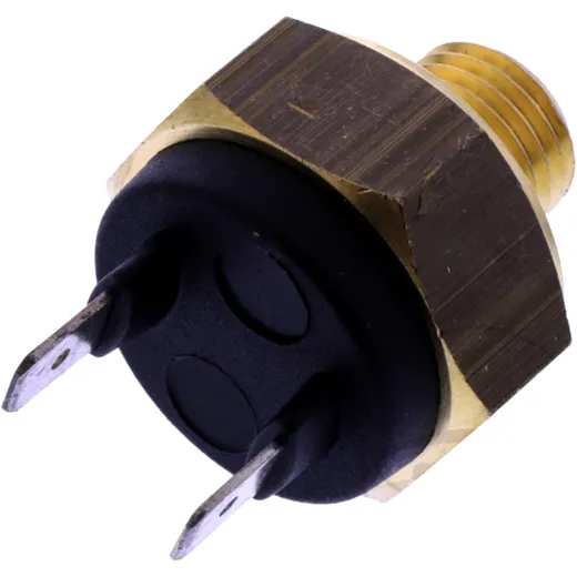 Thermostat for: Aprilia Scarabeo, Pegaso, RSV