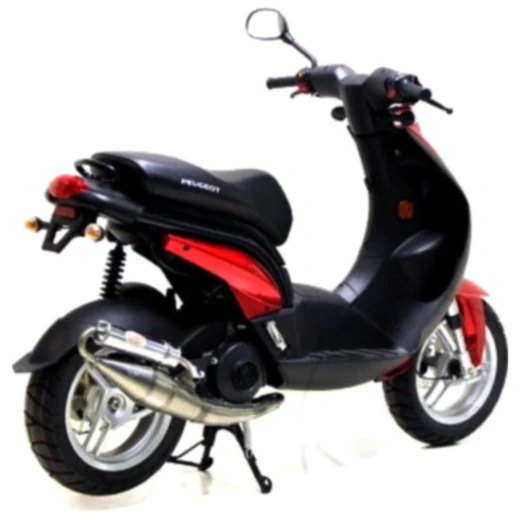 Silencer handmade tt leovince for: Peugeot Ludix, Vivacity_1
