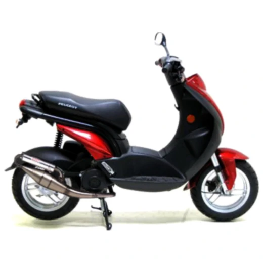 Silencer handmade tt leovince for: Peugeot Ludix, Vivacity_2
