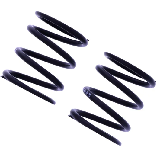 Spring Replacement Set Black YSS 46-25-70