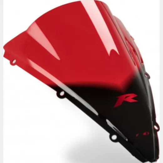 Racing screen puig 1650R