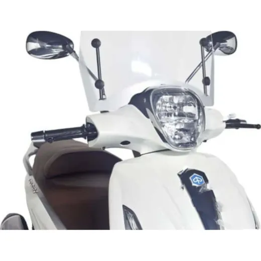 Scheibe T.S. Puig 6265W