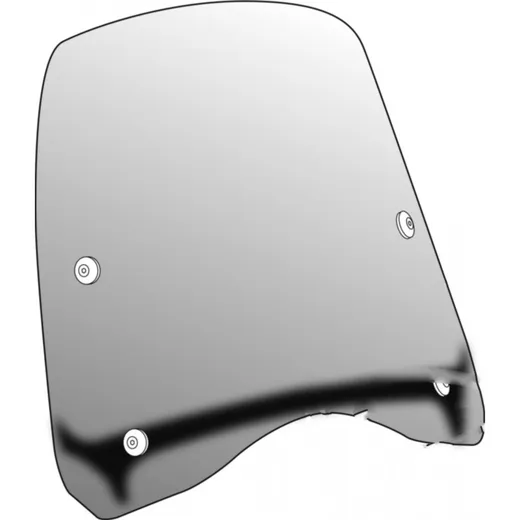 Scheibe T.g. Puig 4879W