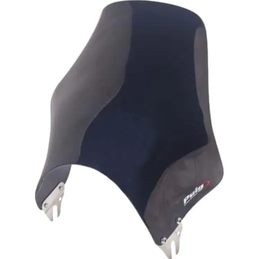 Scheibe Naked Puig 2133N
