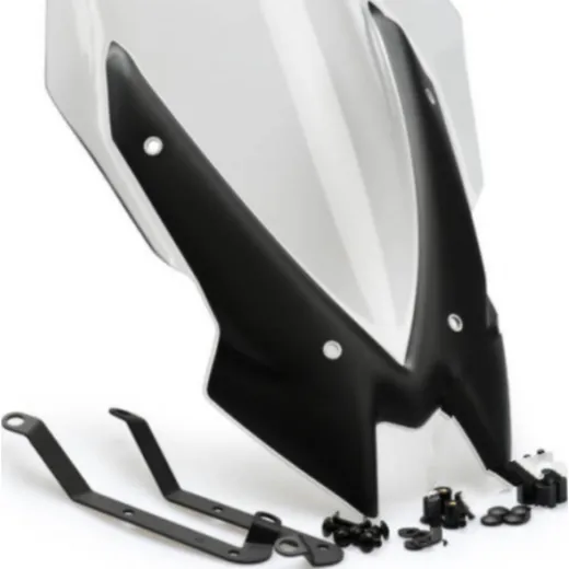 Touringscheibe New Generation Puig 3865W_1