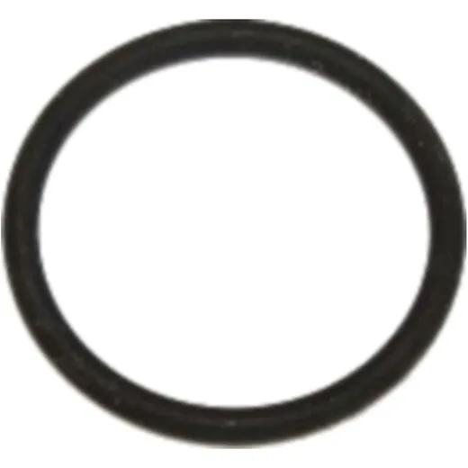 Sealing ring fpm id 904480