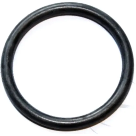 Sealing ring fpm id 915432