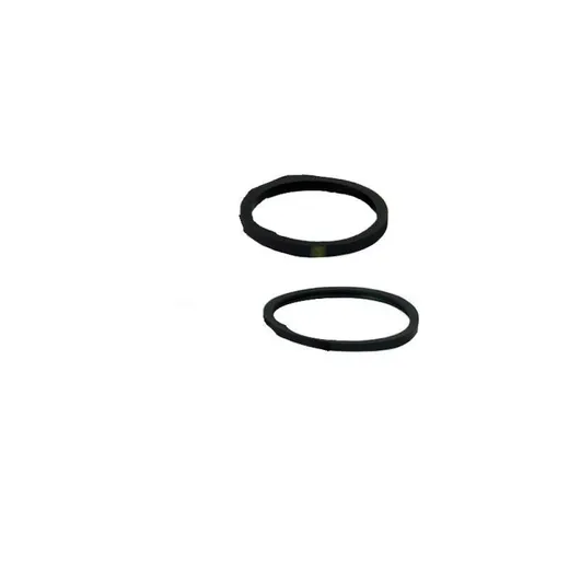 SEALS FOR N1P L/R