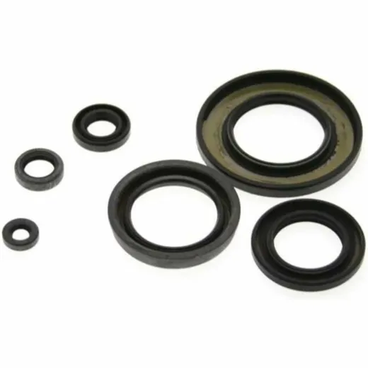 CENTAURO Satz Simmerringe für Yamaha WR250, YZ250F