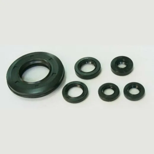 TOURMAX Engine Oil Seals Set for Honda XL400R, XL400S, XL500R