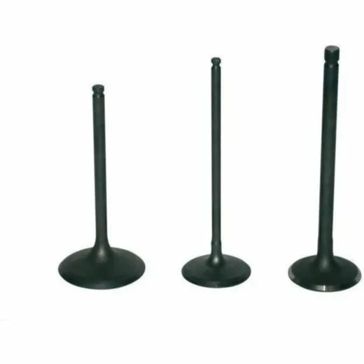 PROX Titanium Exhaust Valve for Husqvarna, KTM, for: Gas Gas