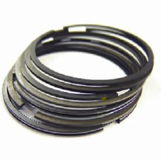 SET OF PISTON RINGS 100MM for Beta, KTM, Suzuki