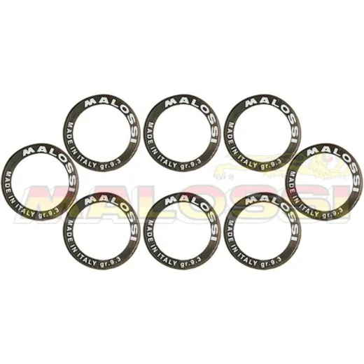 MALOSSI Variator Rollers Set 28,2x19,9mm 19gr - 8 pieces