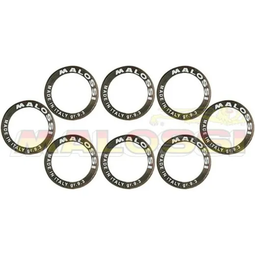 MALOSSI Variator Rollers Set 25x15,9mm 10gr - 8 pieces
