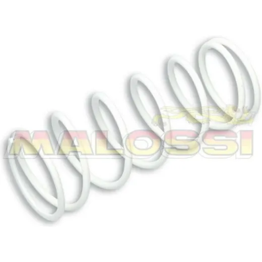 MALOSSI Heavy-duty Compression Spring for: Honda FORZA 300 for Kymco DOWNTOWN300, G-DINK300, PEOPLE300 NSS300FORZA, SH300