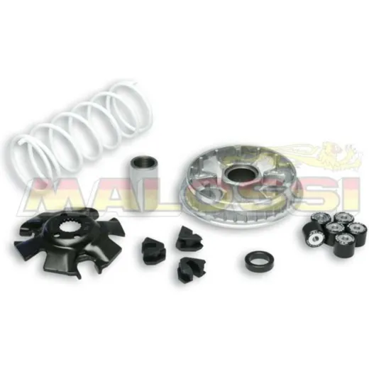 MALOSSI Multivar 2000 Variator - for: Suzuki for UC125EPICURO, UH125BURGMAN, UX125SIXTEEN