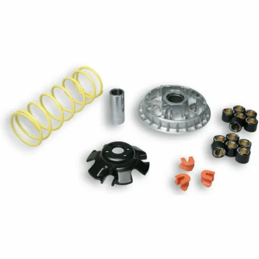 MALOSSI Multivar 2000 Variator - Maxiscooter-ATV for Kymco G-DINK300, KXR250, MAXXER300 Triton BAJA250, BAJA300