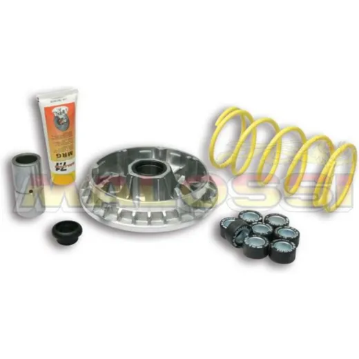 MALOSSI Multivar 2000 Variator for Benelli, Malaguti, Quadro