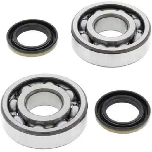 ALL BALLS Crankshaft Bearing & Oil Seal Kit for Kawasaki KDX200, KDX220