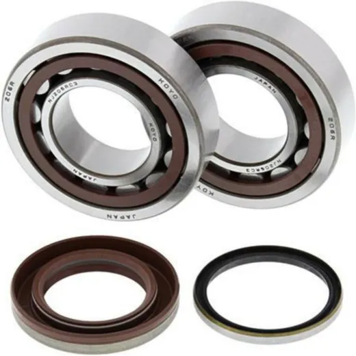 ALL BALLS Crankshaft Bearing & Oil Seal Kit for KTM 250SX-F