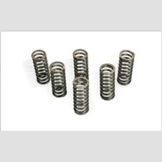 CLUTCH SPRING KIT FOR RM250 06-08 for Suzuki LT-R450QUADRACER, RM-Z450 Yamaha YZ450F