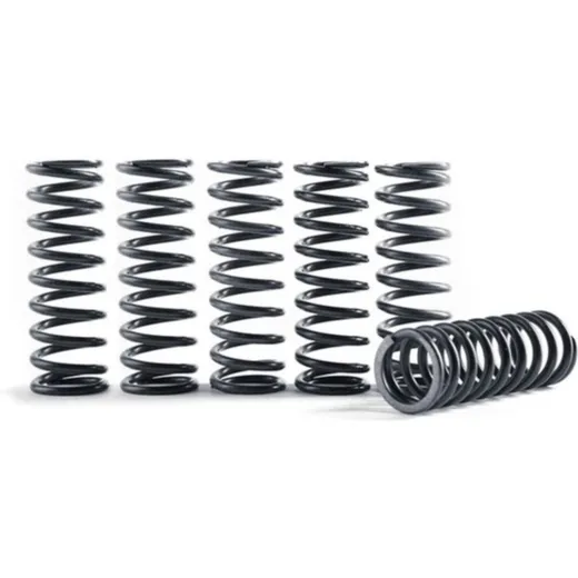 HINSON CLUTCH KIT SPRING FOR HONDA