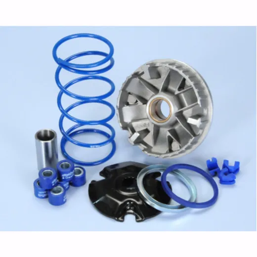POLINI Phantom F12R Variomat - Maguti für CPI, Keeway, Malaguti