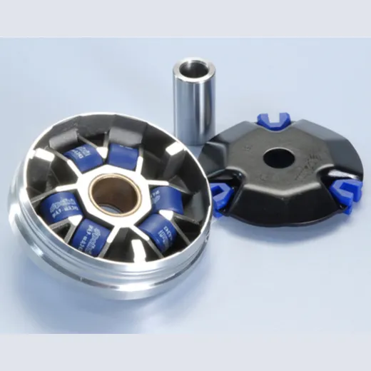POLINI Variator - Kymco People Super 9 50 for AGILITY50, DINK50, DINKCLASSIC50 Aeon COBRA50