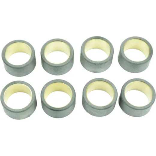 ATHENA Variator Rollers Set 25x14,9mm 16gr - 8 pieces