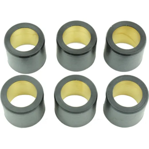 ATHENA Variator Rollers Set 25x22,2mm 20gr - 6 pieces