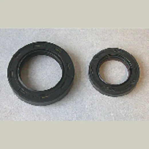 PROX Satz Simmerringe Kurbelwelle für Honda CR250R 42.1301