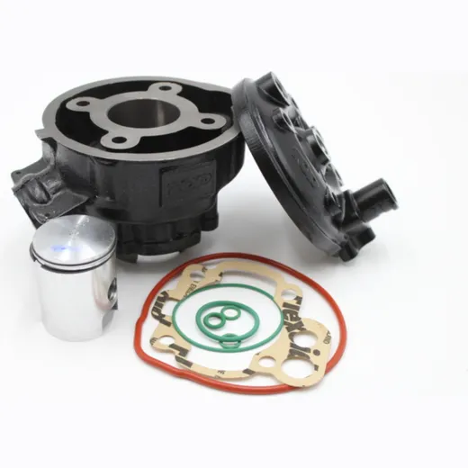 TOP PERFORMANCES Cylinder Kit - Ø40,3mm Minareli AM6 for Peugeot, Aprilia, Beta