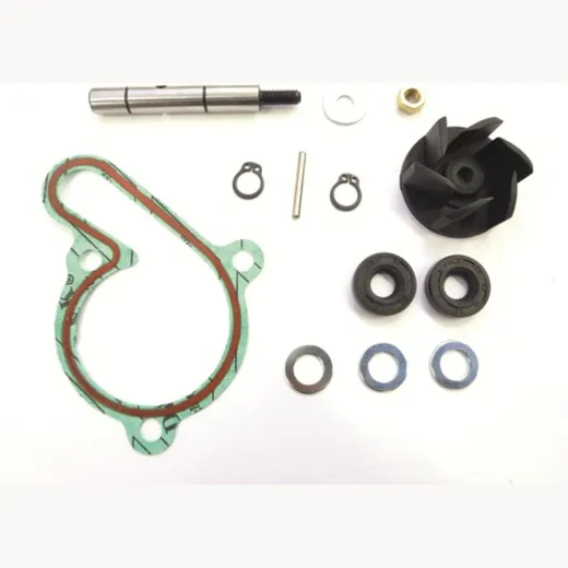 TOP PERFORMANCES Water pump repair kit for Aprilia, Derbi, Gilera